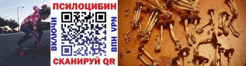 Псилоцибиновые грибы мухоморы Купить где Строитель
